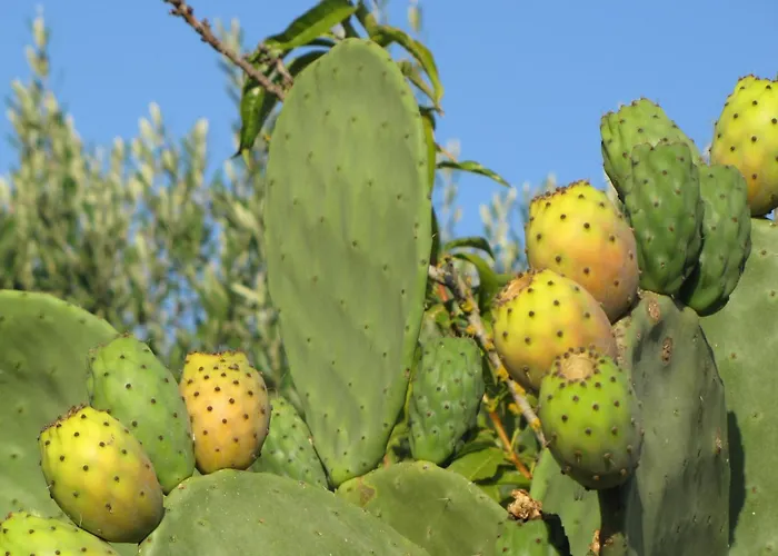 Trullo Caliandro * Martina Franca