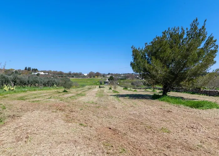 Trullo Caliandro * Martina Franca